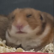 Фаткина Любовь Фаткина Любовь