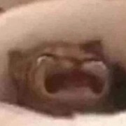 Дударева Дарья Денисовна