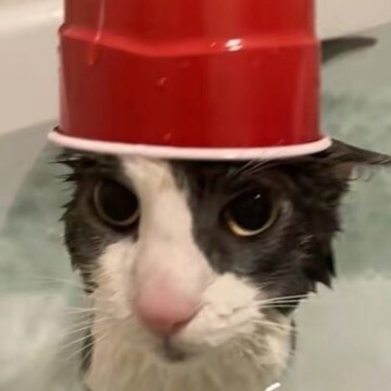 Савелий Александрович Потапов