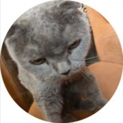 Якубов Антон Иванович