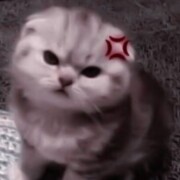 Ботаева Софья Сергеевна Ботаева Софья Сергеевна