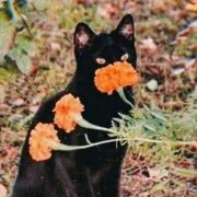 Ковалёва Екатерина Владимировна Ковалёва Екатерина Владимировна