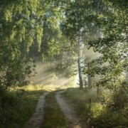 Хасбулаева Зайнаб Хасбулаевна