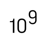 Анишина Светлана Владимировна