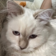 Калугин Егор Игоревич