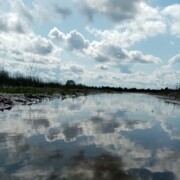 Авласевич Виктория Владимировна