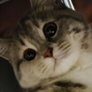 Шарипова Зухра Руслановна