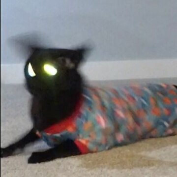 Окотчик Анна Сергеевна Окотчик Анна Сергеевна