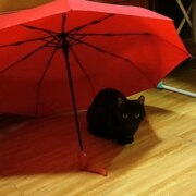 Крупнова Мария Ильинична Крупнова Мария Ильинична