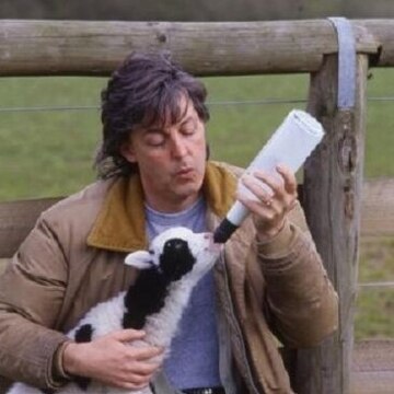 Попов Антон Попов Антон