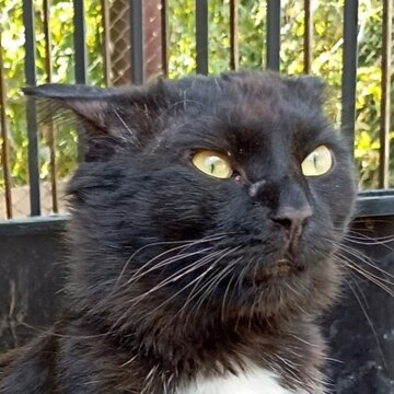 Кушнарев Илья Александрович Кушнарев Илья Александрович