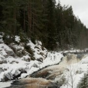 Шишова Татьяна Александровна