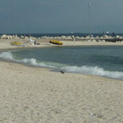 Кривцова Нелли Викторовна Кривцова Нелли Викторовна