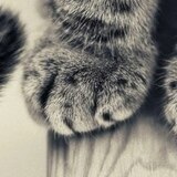 Козленко Вероника Александровна Козленко Вероника Александровна