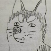 Попкова Алина