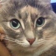 Кораблёв Артём