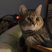 Сенченкова Полина Алексеевна Сенченкова Полина Алексеевна