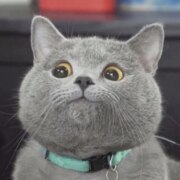 Михайлов Дмитрий Александрович