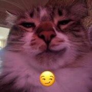 Горев Павел Александрович Горев Павел Александрович