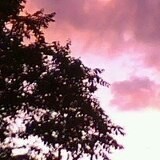 Константинова Алиса