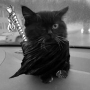 Данилов Антон