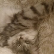 Солодуха Михаил Алексеевич