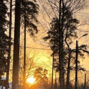 Чжу Пэн Чжу Пэн