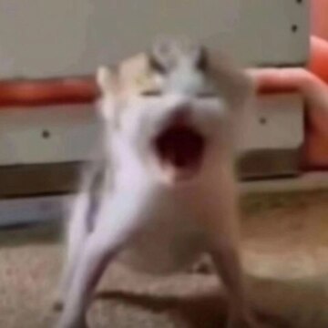 Анастасия Викторовна Акулова