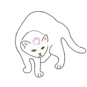 Бочкарева Алена Бочкарева Алена