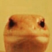 Умавов Ахмед Ибрагимович