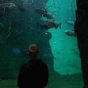 Сайфулин Андрей Константинович Сайфулин Андрей Константинович