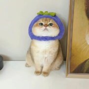 Жуковец Даниил