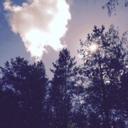 Олейник Александр Сергеевич