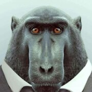 Каурдаков Кирилл Валерьевич Каурдаков Кирилл Валерьевич