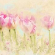 Ильясова Нелли