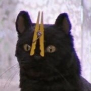 Белошапко Дмитрий