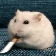 Дубровина Мария