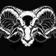 Локтионов Александр Сергеевич