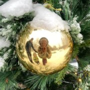 Бахирева Анастасия Александровна