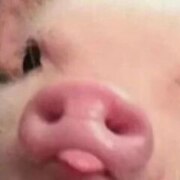 Подгаецкий Михаил Владимирович