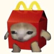 Карташова Анна Ильинична Карташова Анна Ильинична