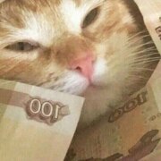 Попов Никита