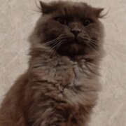 Данил Надеев Петрович