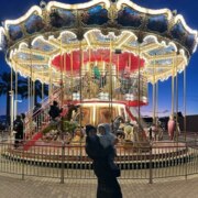 Татарчук Юлия Вадимовна