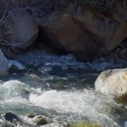 Якоркина Светлана Алексеевна