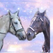 Ивахоненкова Виктория Сергеевна Ивахоненкова Виктория Сергеевна