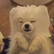 Чехлова Татьяна Ивановна