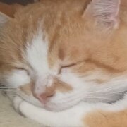 Онищенко Максим Сергеевич