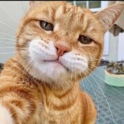 Носков Сергей Алексеевич