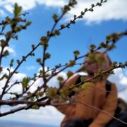 Гладких Ирина